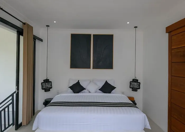 Virgo Sun House