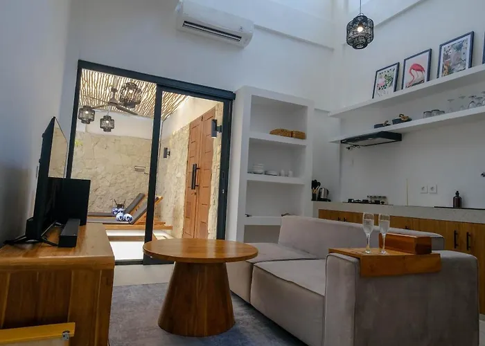 Virgo Sun House