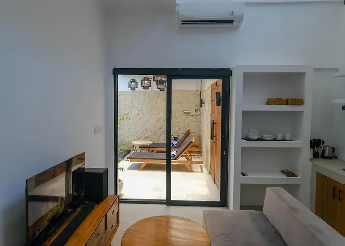 Virgo Sun House