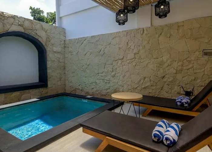 Virgo Sun House